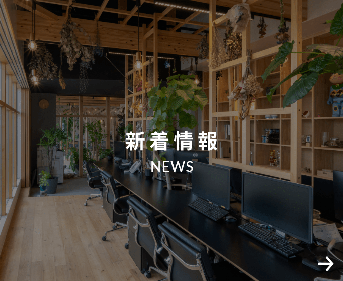 新着情報
