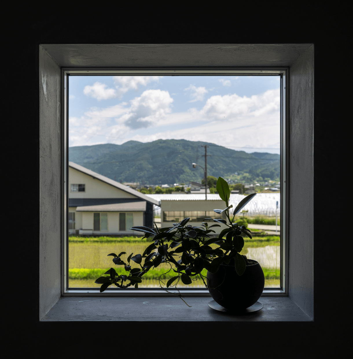 ファイブセンスのロゴと五感のイメージ画像