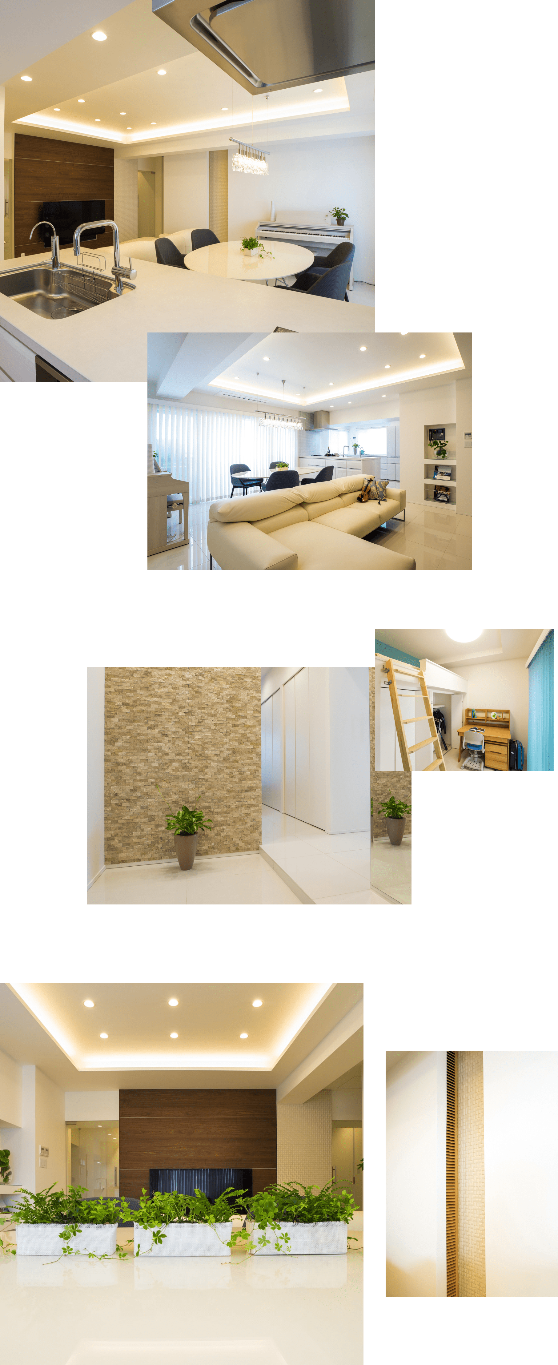 光に包まれ、暮らしが整う。　イメージ