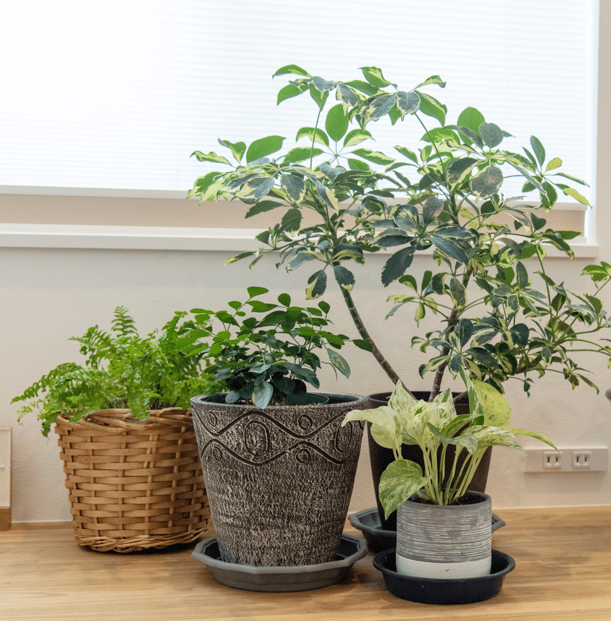 リノベ　イメージ写真２